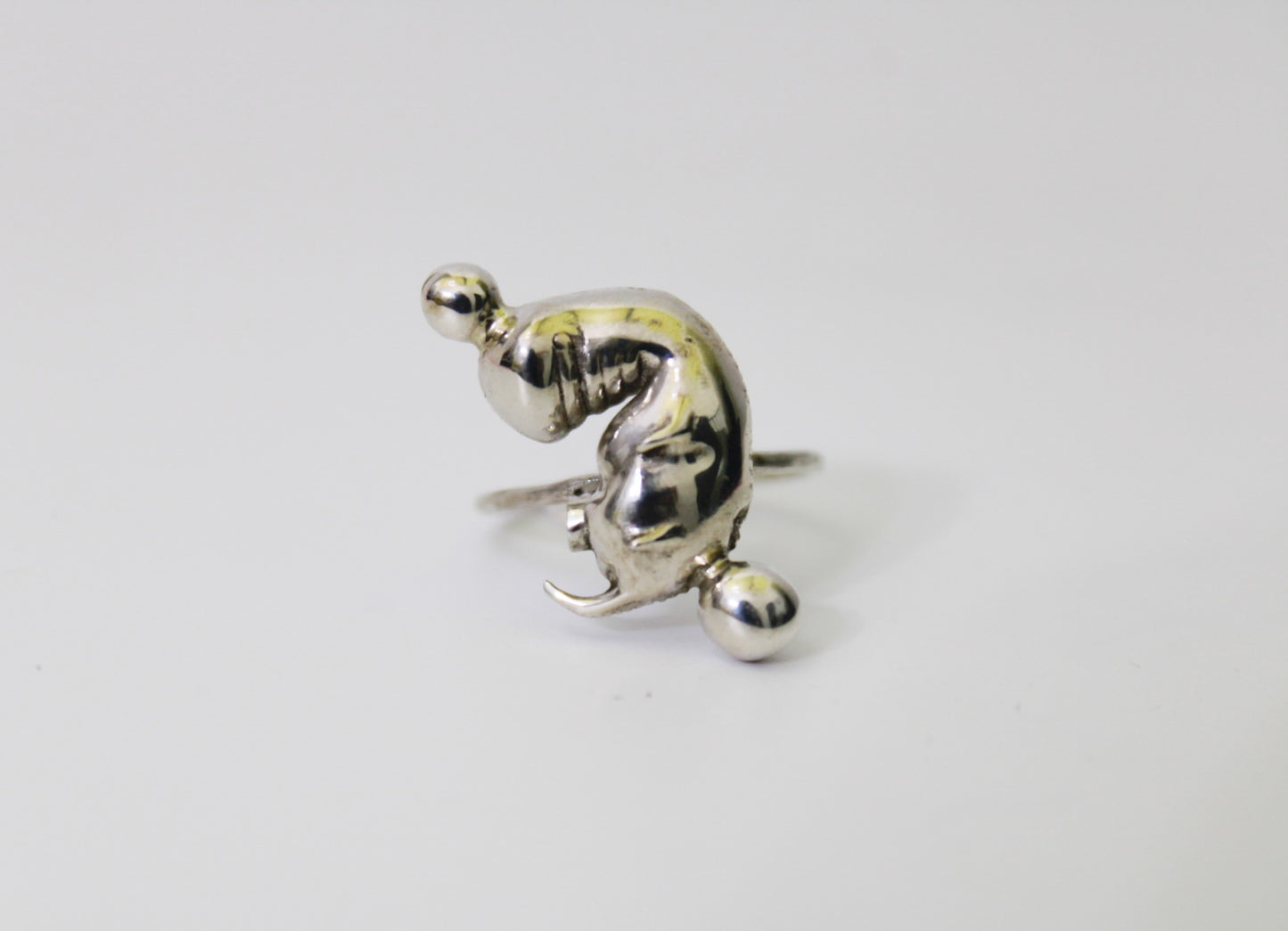 Animal fetus